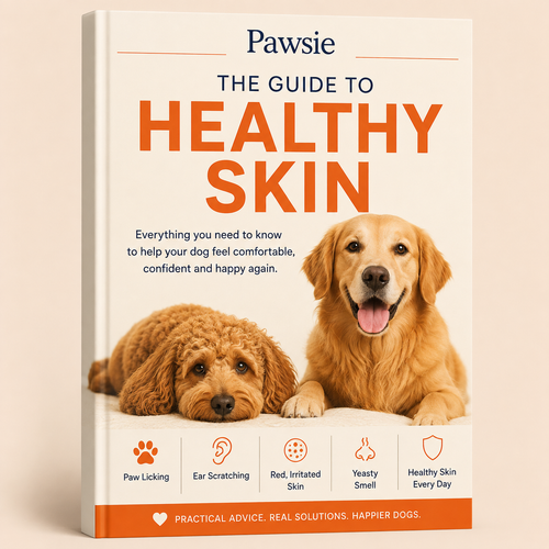 The Guide To Healthy Skin